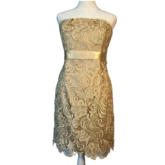 Adrianna Pappel Strapless Lace Knee Length Dress in Color Champagne Size 8P - Picture 2 of 9